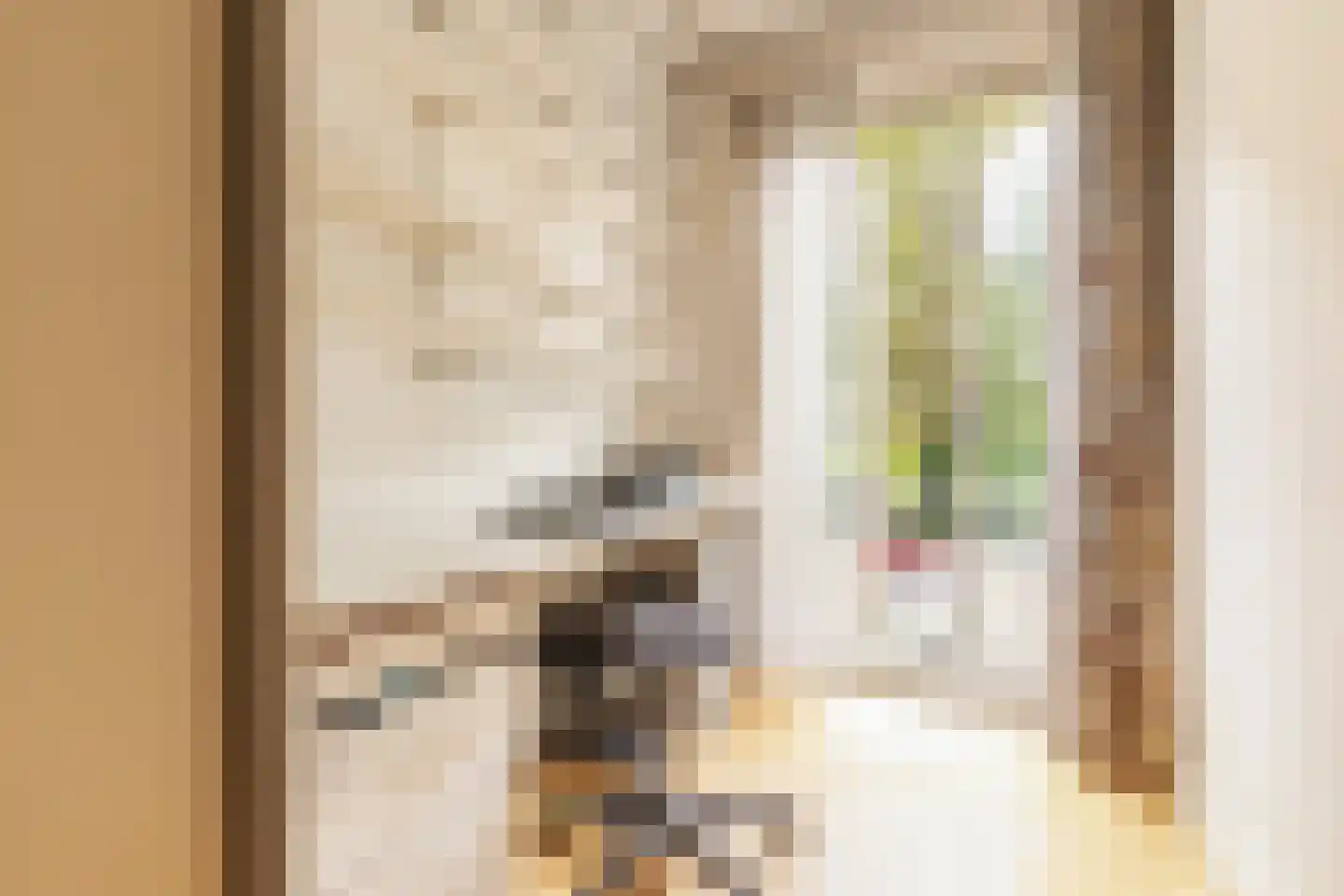 Jan van Galenstraat 223 1 Amsterdam thumbnail 24