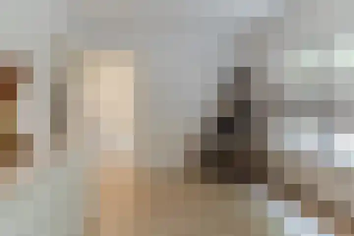 Jan van Galenstraat 23 Geldrop thumbnail 24