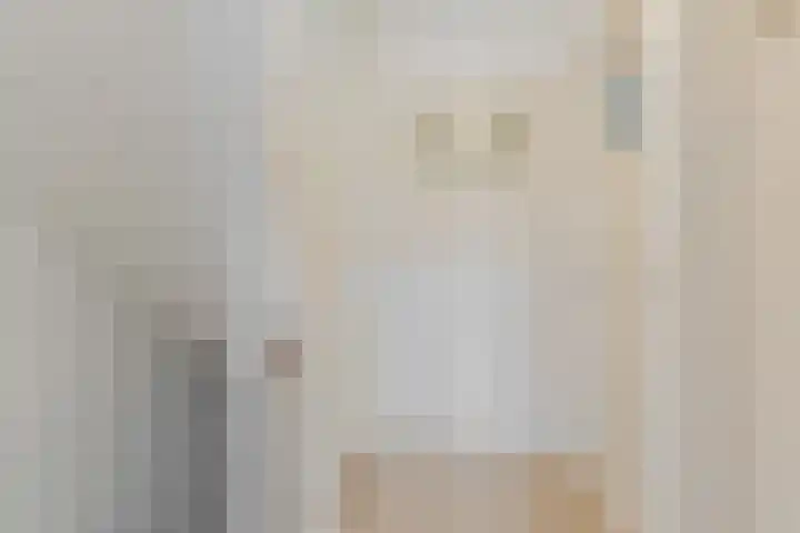 Jan van Galenstraat 23 Geldrop thumbnail 27
