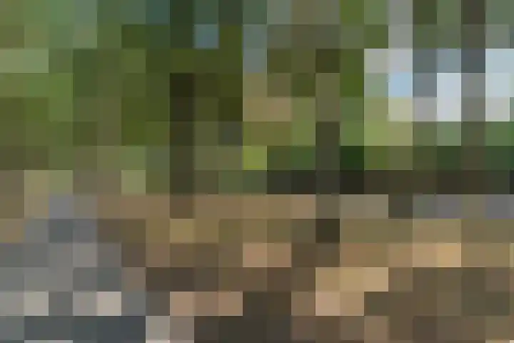 Jan van Galenstraat 23 Geldrop thumbnail 37
