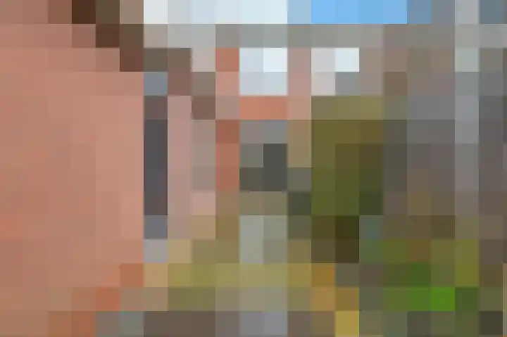 Jan van Galenstraat 25 De Lier thumbnail 10
