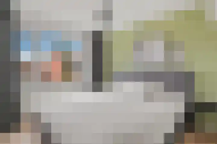 Jan van Galenstraat 25 De Lier thumbnail 15