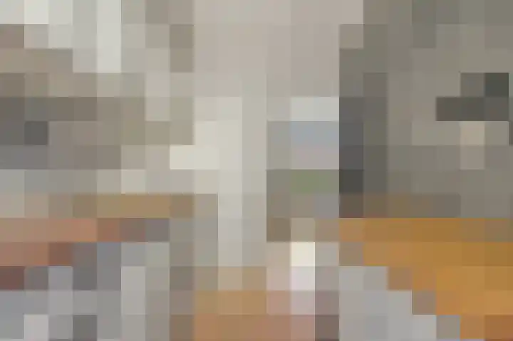 Jan van Galenstraat 25 De Lier thumbnail 8