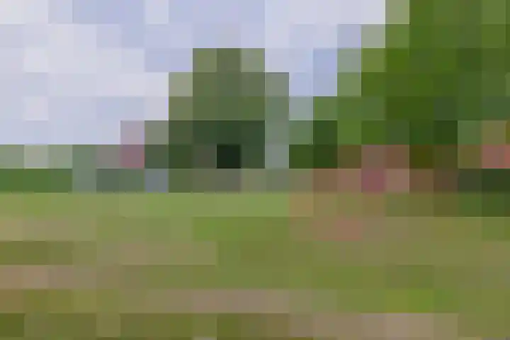 Jan van Galenstraat 25 Delfzijl thumbnail 25