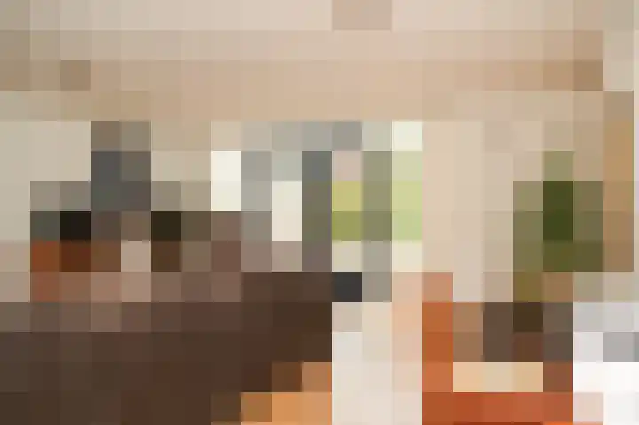 Jan van Galenstraat 28 Druten thumbnail 5