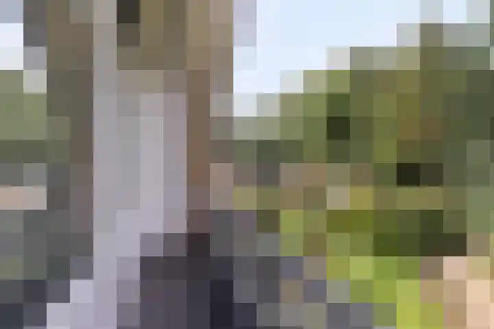Jan van Galenstraat 29 Terneuzen thumbnail 30