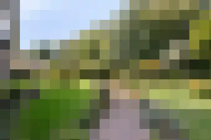 Jan van Galenstraat 29 Terneuzen thumbnail 36