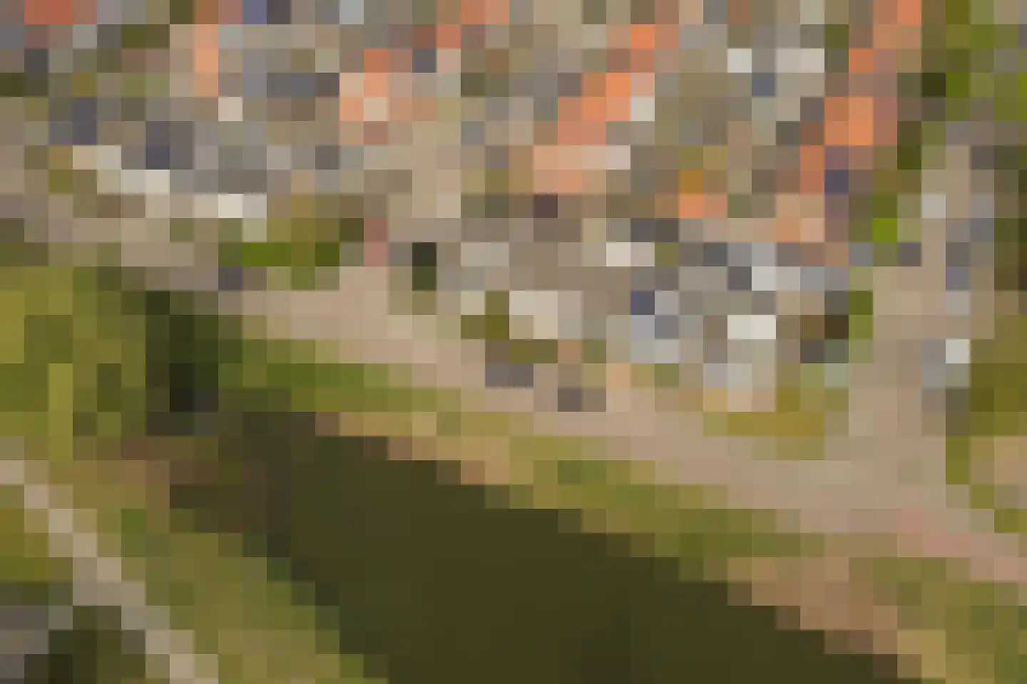 Jan van Galenstraat 29 Vught thumbnail 34