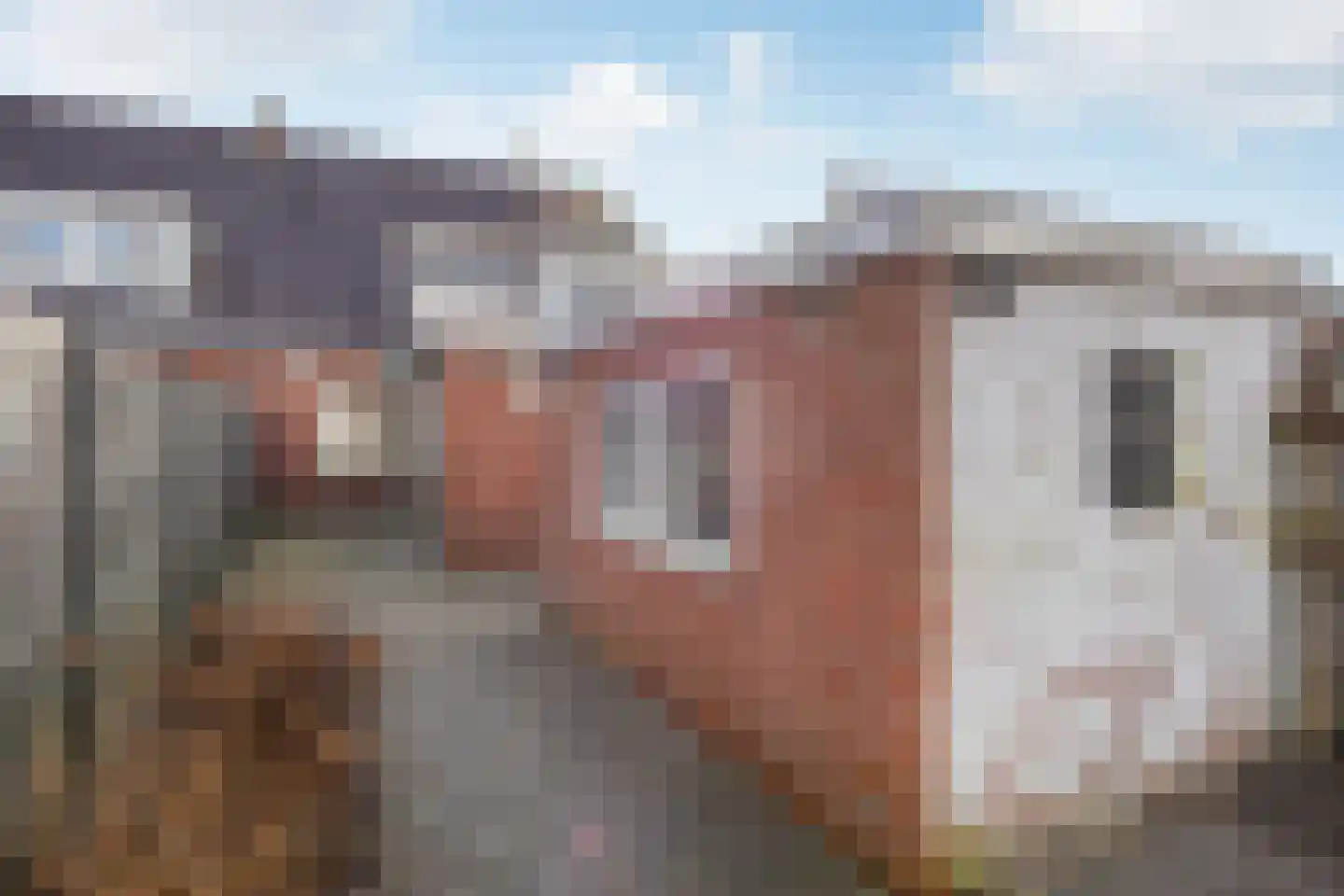 Jan van Galenstraat 35 Delfzijl thumbnail 41