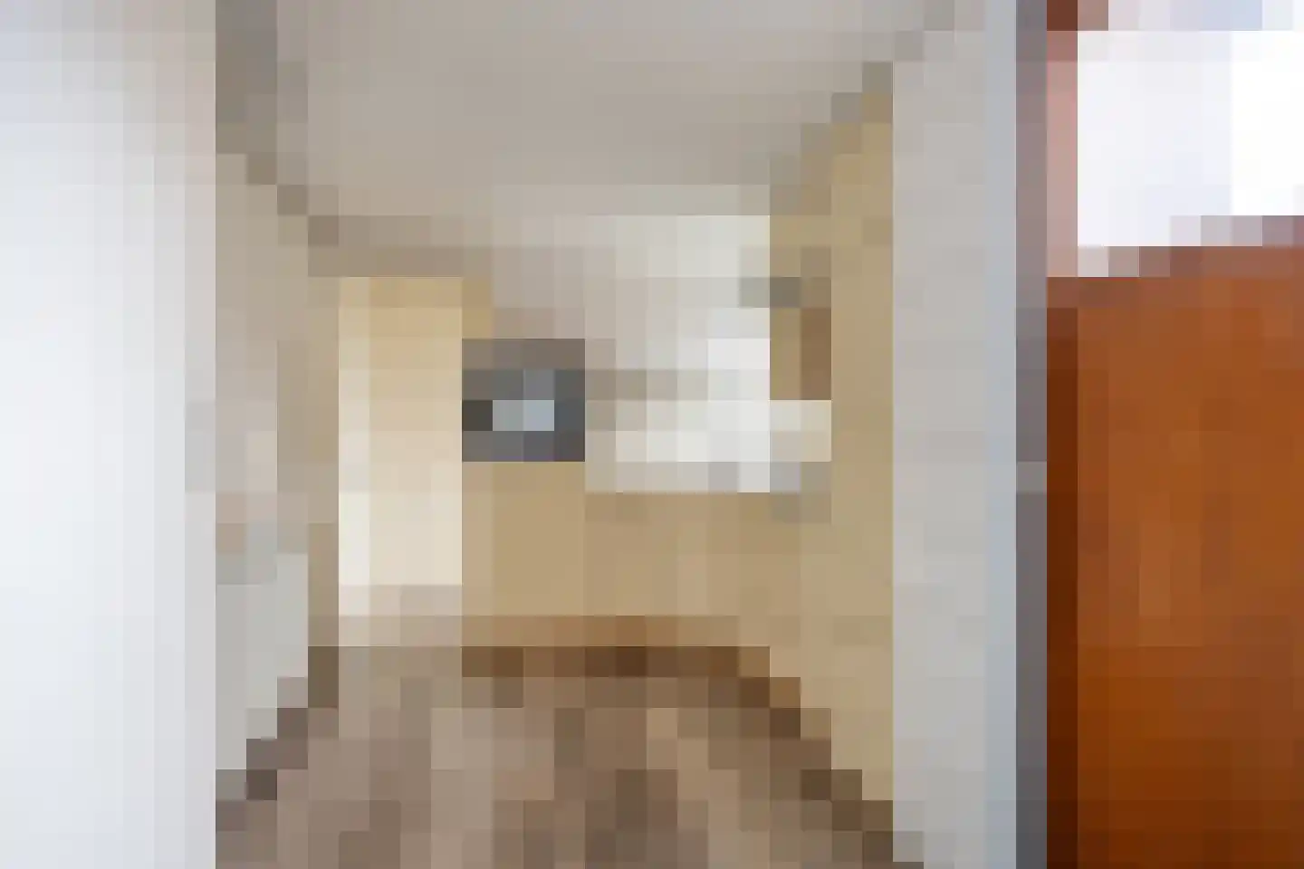 Jan van Galenstraat 35 Delfzijl thumbnail 9