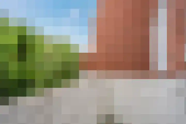Jan van Galenstraat 4 Groningen thumbnail 18