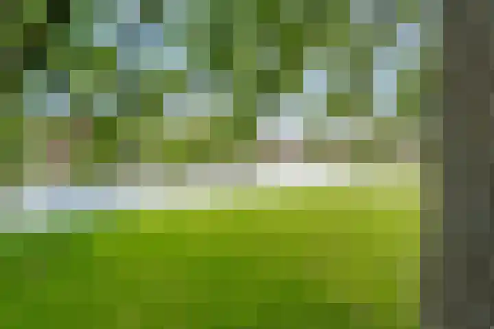 Jan van Galenstraat 4 Groningen thumbnail 25