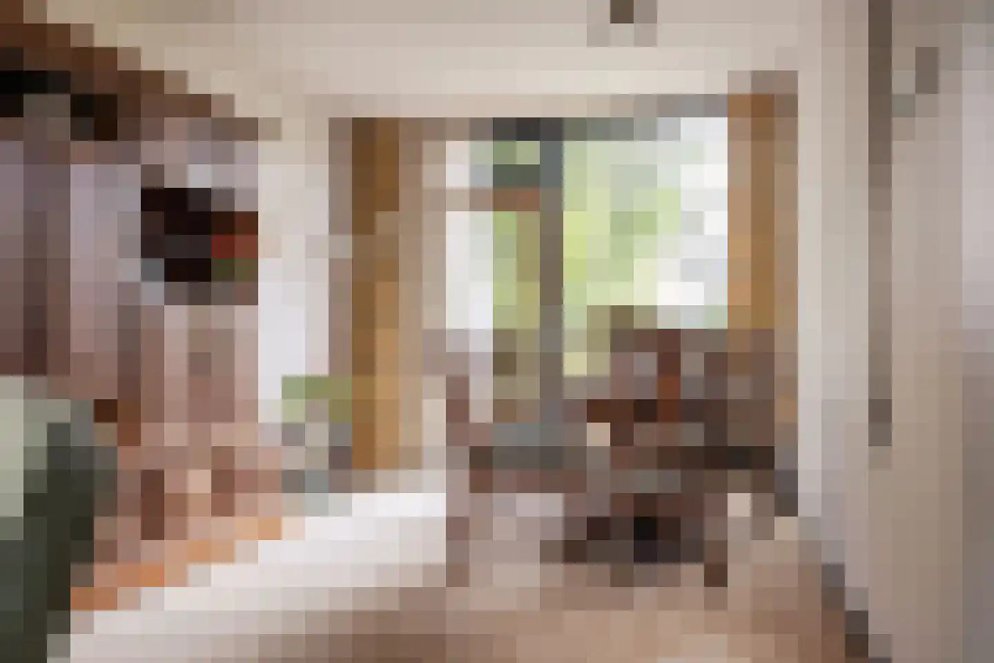 Jan van Galenstraat 51 Haarlem thumbnail 11