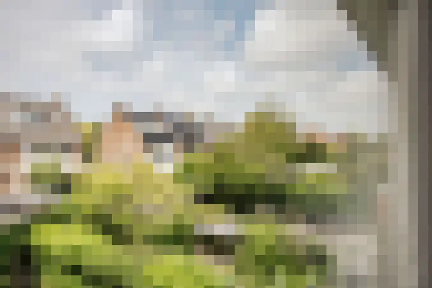 Jan van Galenstraat 51 Haarlem thumbnail 31