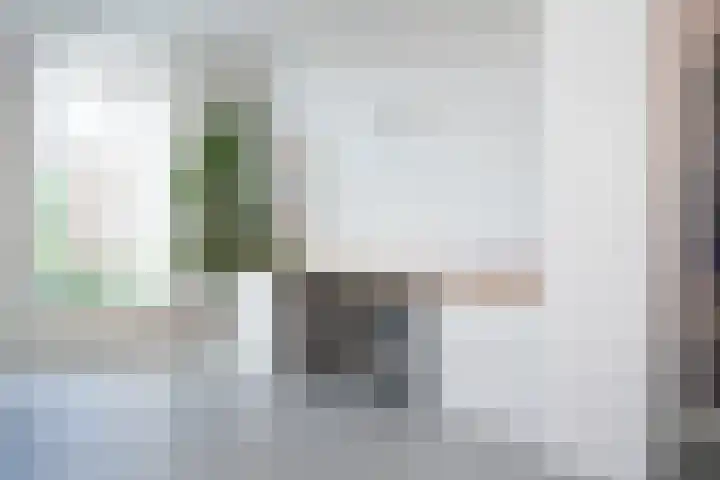 Jan van Galenstraat 6 Druten thumbnail 17