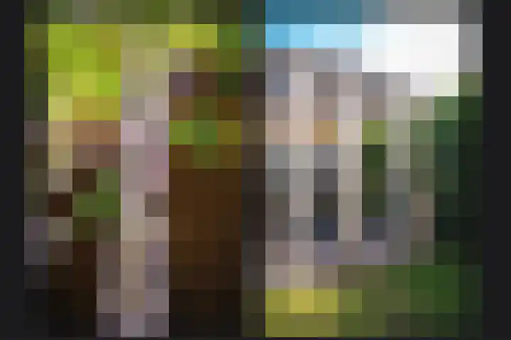 Jan van Galenstraat 6 Druten thumbnail 35