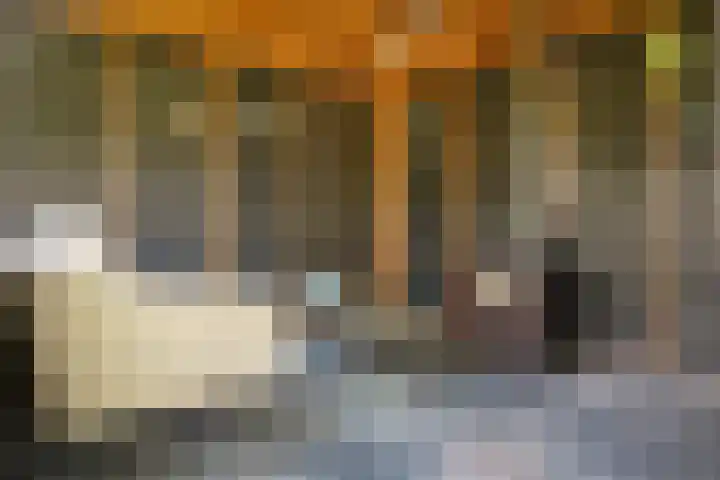 Jan van Galenstraat 6 Druten thumbnail 38