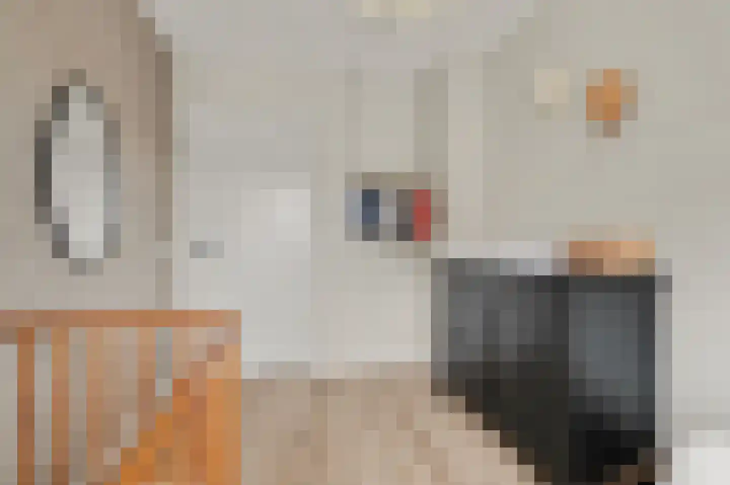 Jan van Galenstraat 61 Vught thumbnail 27