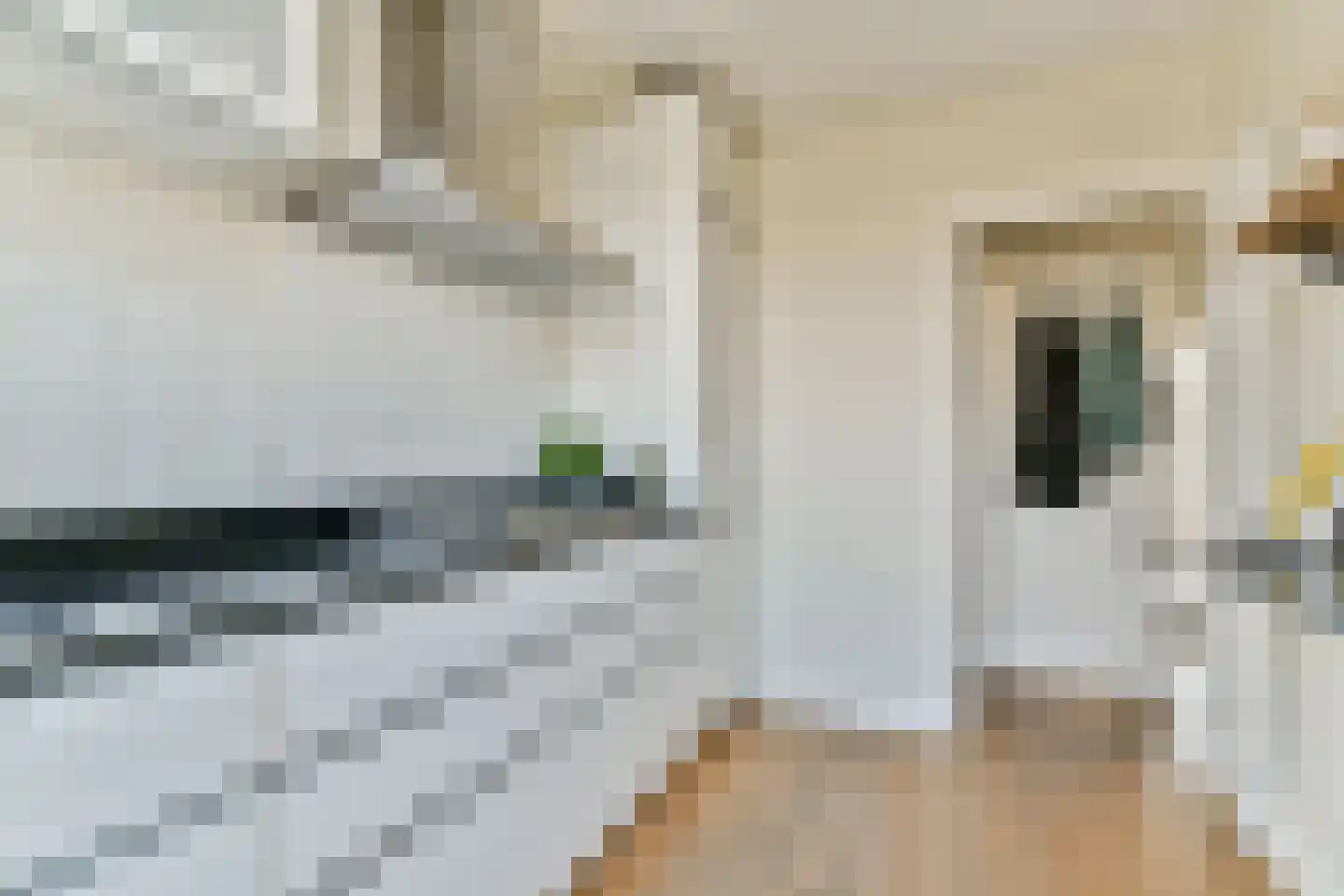 Jan van Galenstraat 66 2 Amsterdam thumbnail 12