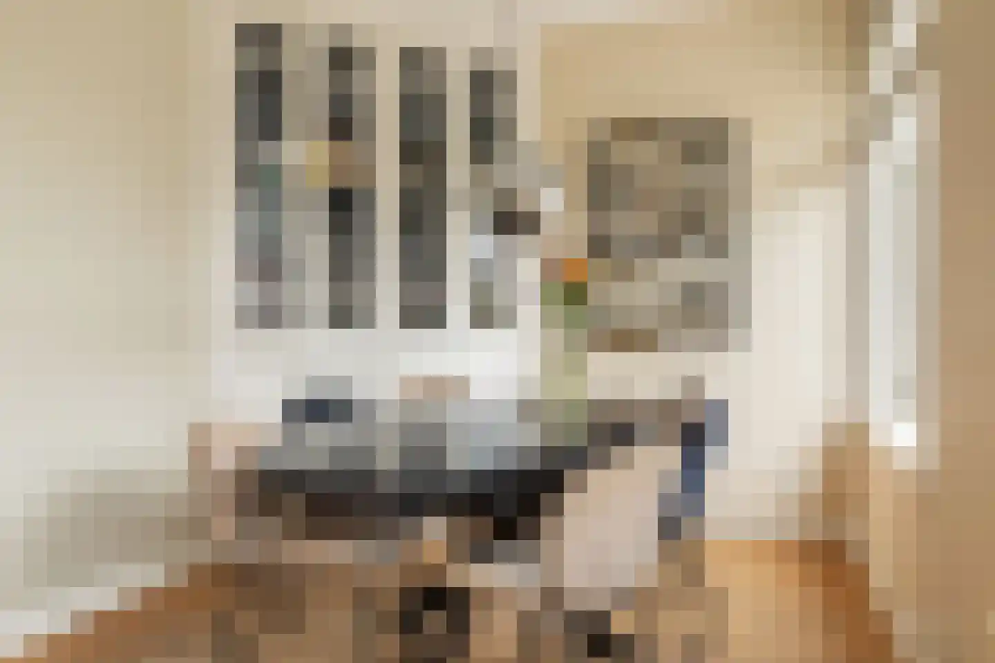 Jan van Galenstraat 66 2 Amsterdam thumbnail 9