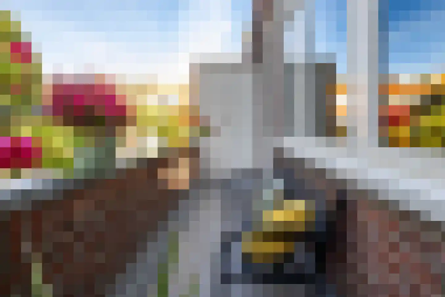 Jan van Galenstraat 7 b Groningen thumbnail 21