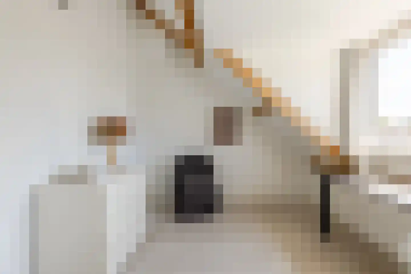 Jan van Galenstraat 71 Haarlem thumbnail 25