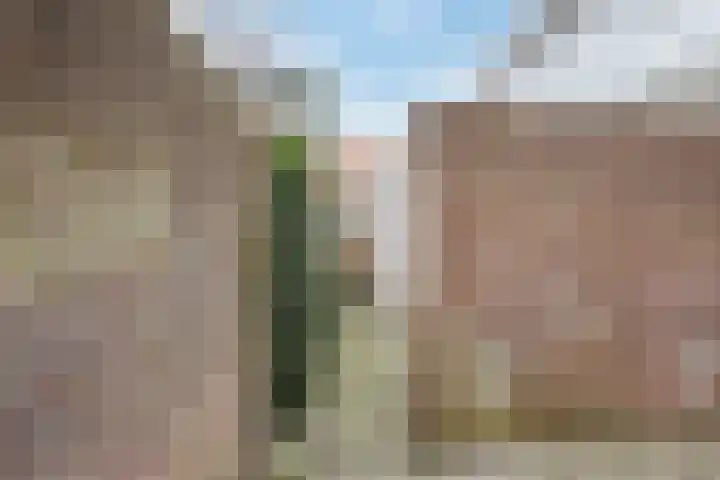 Jan van Galenstraat 8 Meppel thumbnail 33