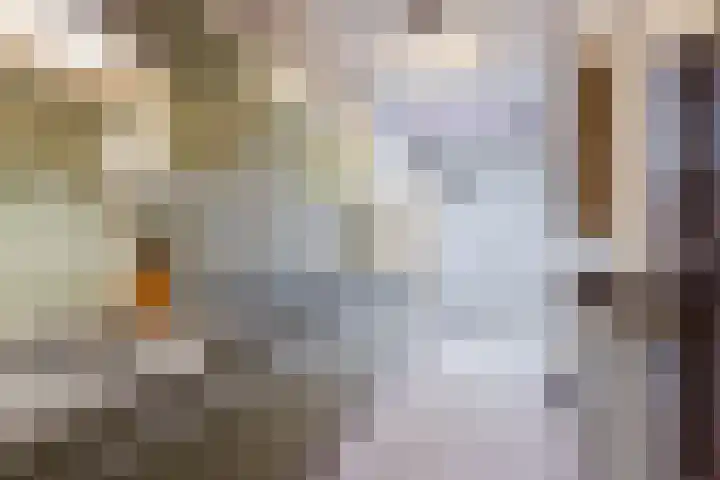 Jan van Galenstraat 8 Meppel thumbnail 8