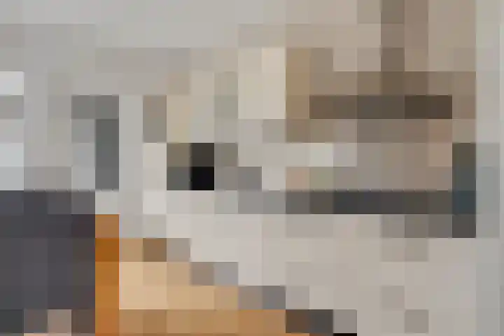 Jan van Galenstraat 9 Hengelo thumbnail 13
