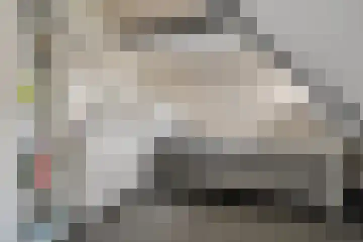 Jan van Galenstraat 9 Hengelo thumbnail 33