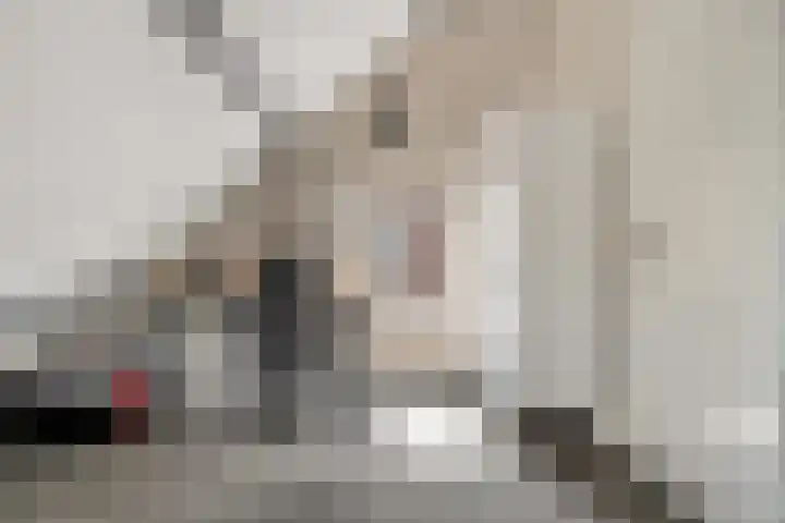 Jan van Galenstraat 9 Hengelo thumbnail 34