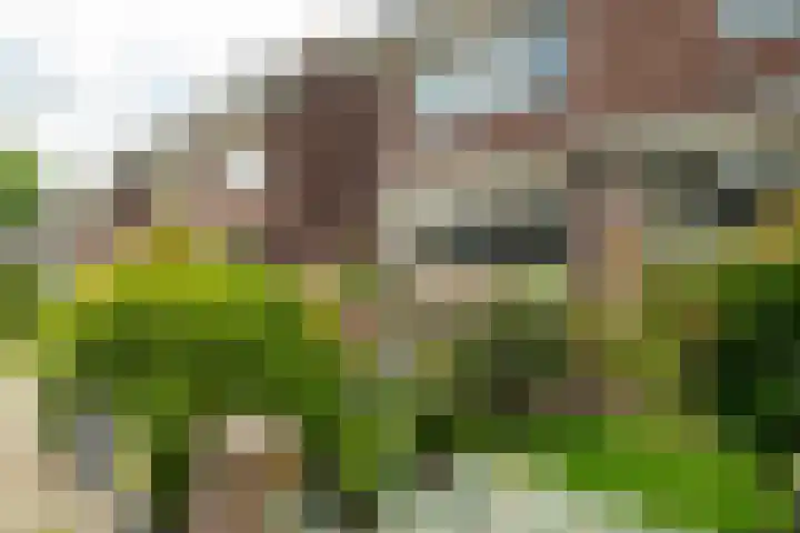 Jan van Galenstraat 9 Hengelo thumbnail 42
