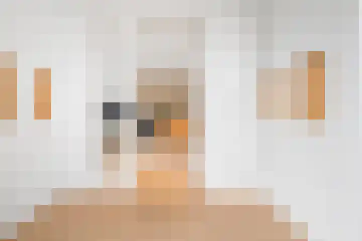 Jan van Geemstraat 10 Spaarndam thumbnail 12