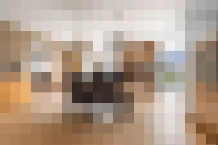 Jan van Geemstraat 10 Spaarndam thumbnail 21