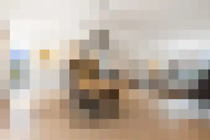 Jan van Geemstraat 10 Spaarndam thumbnail 23