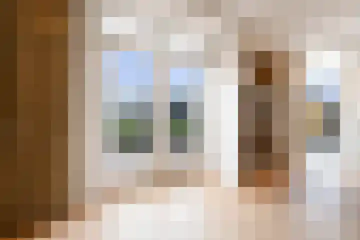 Jan van Geemstraat 10 Spaarndam thumbnail 25