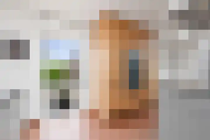 Jan van Geemstraat 10 Spaarndam thumbnail 46