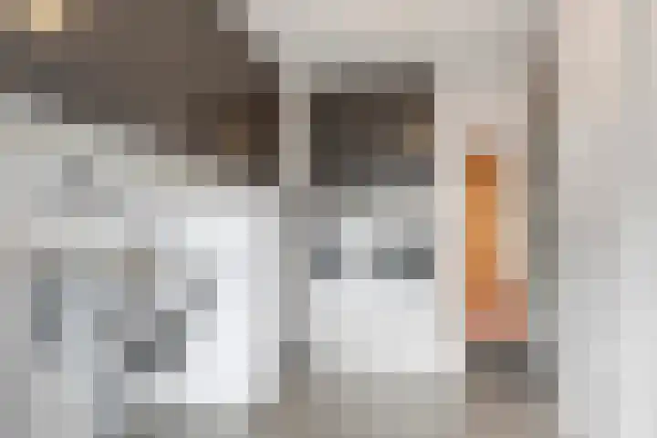 Jan van Geemstraat 10 Spaarndam thumbnail 60