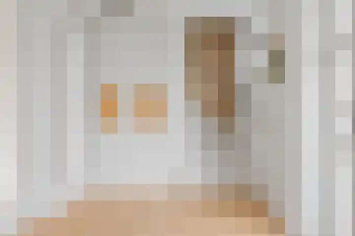 Jan van Geemstraat 10 Spaarndam thumbnail 61