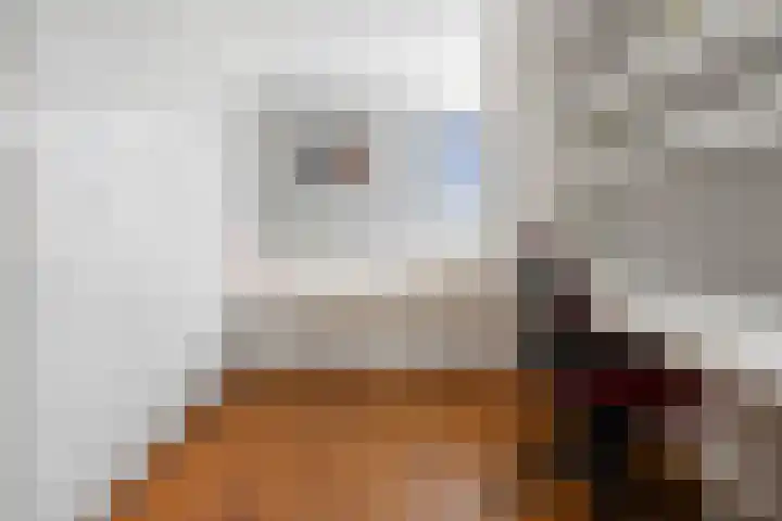 Jan van Geemstraat 10 Spaarndam thumbnail 66