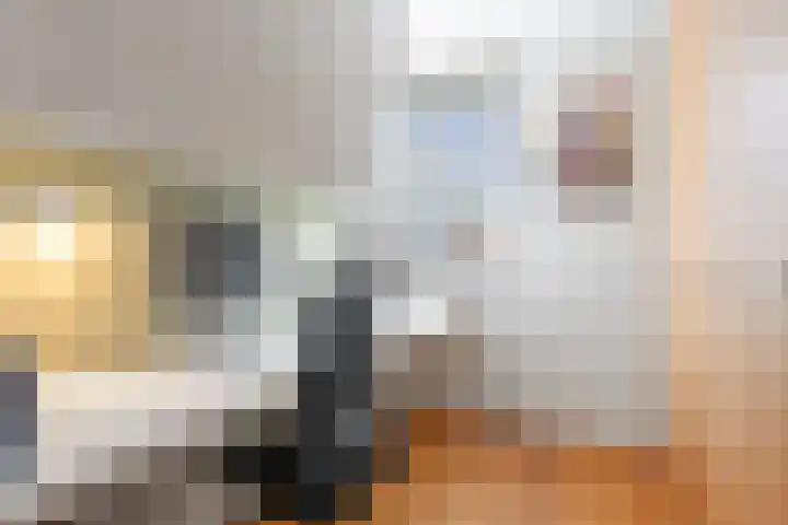 Jan van Geemstraat 10 Spaarndam thumbnail 71