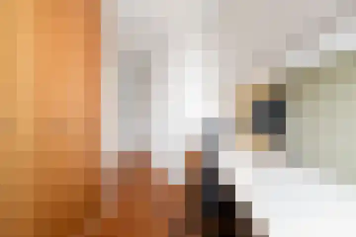Jan van Geemstraat 10 Spaarndam thumbnail 72