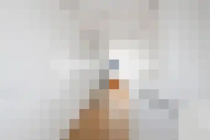 Jan van Geemstraat 10 Spaarndam thumbnail 77