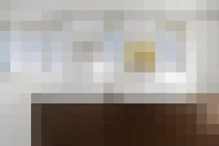 Jan van Geemstraat 10 Spaarndam thumbnail 89