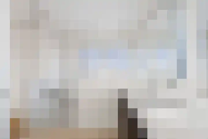 Jan van Geemstraat 10 Spaarndam thumbnail 91