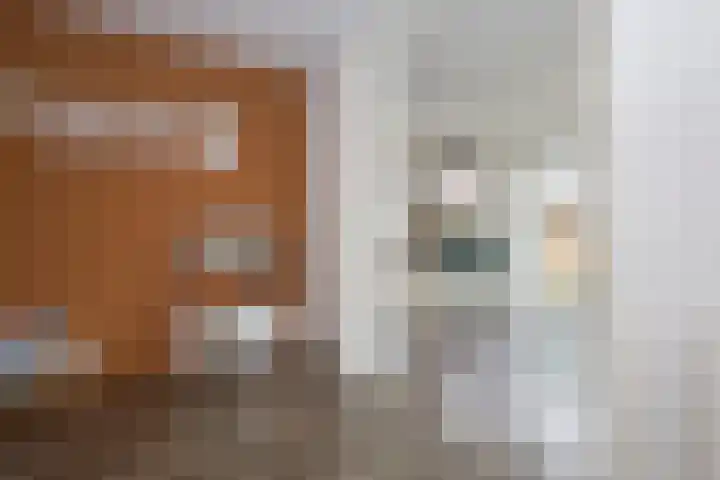 Jan van Geemstraat 26 Spaarndam thumbnail 20