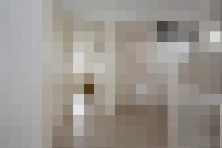 Jan van Geemstraat 26 Spaarndam thumbnail 34