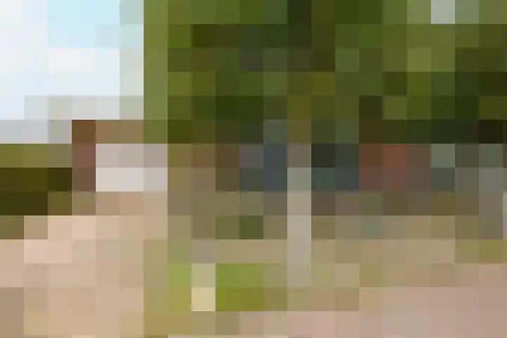 Jan van Geemstraat 26 Spaarndam thumbnail 5