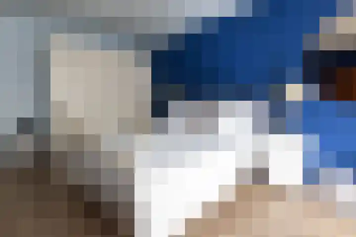 Jan van Gentstraat 11 Petten thumbnail 20
