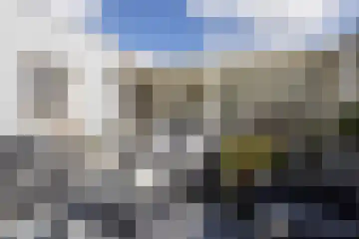 Jan van Gentstraat 11 Petten thumbnail 25